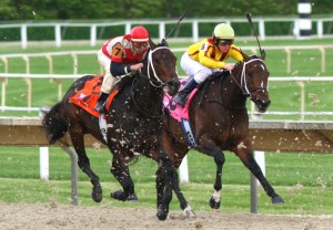 Horserace_520133030
